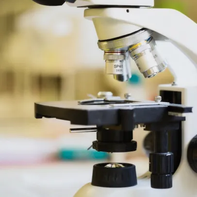 laboratoire vétérinaire équins à Cintegabelle en Haute Garonne 31